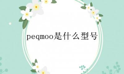 peqmoo是什么型号 peqm00是什么意思