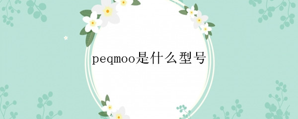 peqmoo是什么型号