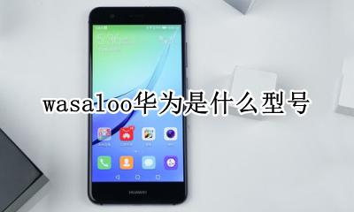 wasaloo华为多少钱 wasaloo华为是什么型号