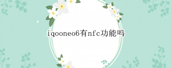 iqooneo6有nfc功能吗