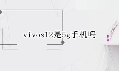 vivos12是5g手机吗 vivos12是12g还是12g