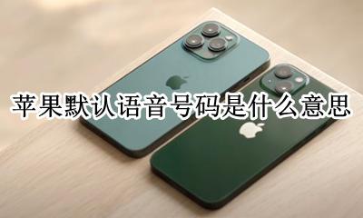 苹果默认语音号码是什么意思 iphone默认语音号码是什么意思