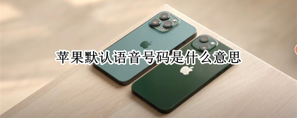 苹果默认语音号码是什么意思