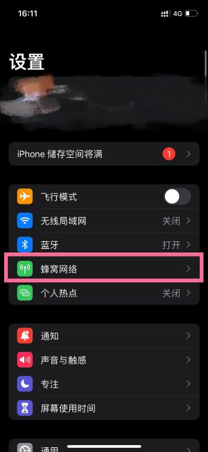 苹果默认语音号码是什么意思