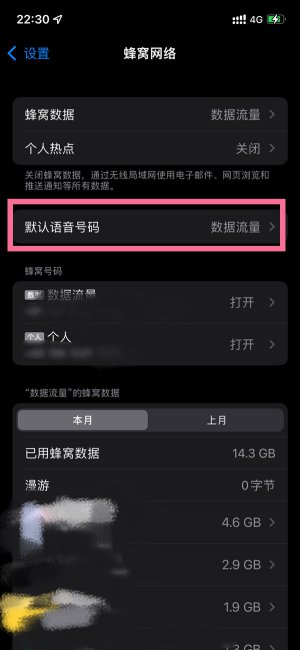 苹果默认语音号码是什么意思