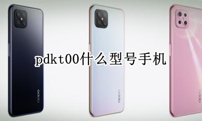 pdkt00是什么型号 pdkt00什么型号手机