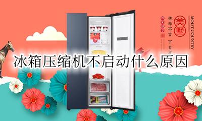 冰箱压缩机不启动什么原因 冰箱压缩机不启动怎么办