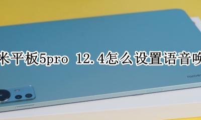 小米5怎么设置语音唤醒小爱 小米平板5pro 12.4怎么设置语音唤醒