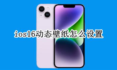 ios16动态壁纸怎么设置 ios16系统怎么设置动态壁纸