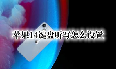 苹果14键盘听写怎么设置 苹果14打开了启用听写为什么键盘上没有