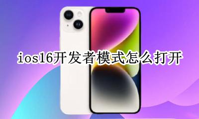 ios手机打开开发者模式 ios16开发者模式怎么打开