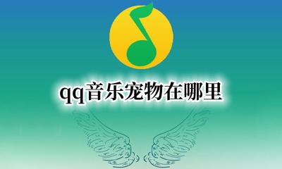 qq音乐宠物在哪里 qq音乐的活动在哪里找