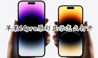 苹果14系统原彩在哪 苹果14pro原彩显示怎么打开