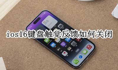 ios16键盘震动反馈怎么开 ios16键盘触觉反馈如何关闭