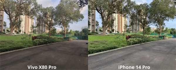 vivo X80 Pro和iPhone14 Pro拍照对比