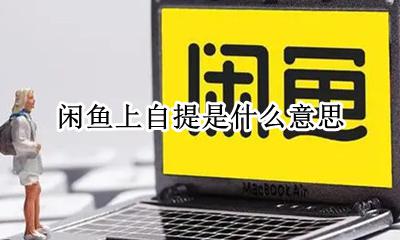 闲鱼上自提是啥意思 闲鱼上自提是什么意思