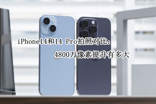 iPhone14和14 Pro拍照对比