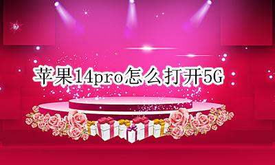 苹果14pro怎么打开5G 苹果14pro14g怎么打开