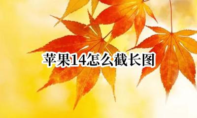 苹果14怎么截长图 苹果怎么截长图qq