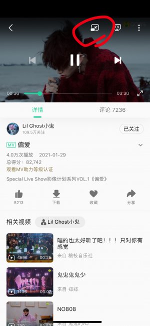 苹果14画中画怎么用啊