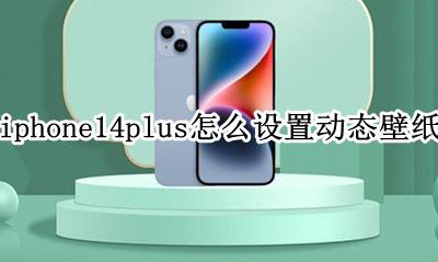 ios14如何设置动态壁纸 iphone14plus怎么设置动态壁纸