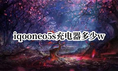 iqooneo5s充电器多少w iqooneo5充电器长什么样