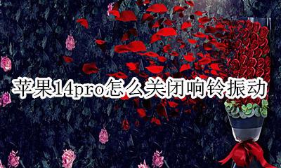 苹果14响铃不会振动 苹果14pro怎么关闭响铃振动