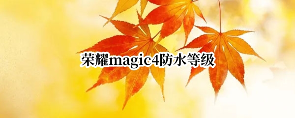 荣耀magic4防水等级