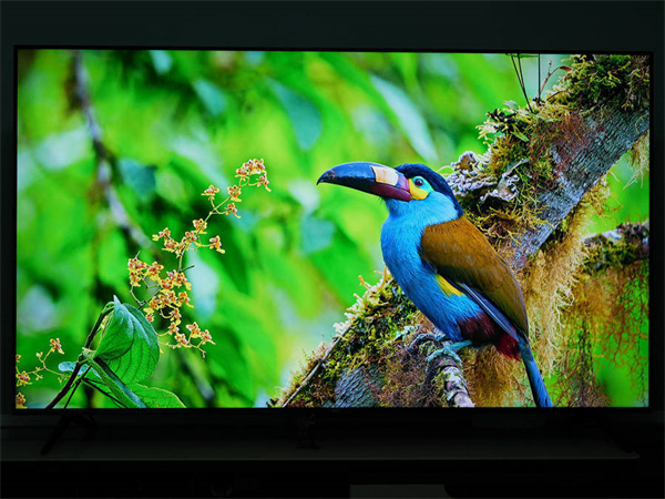 TCL 65V8G电视评测