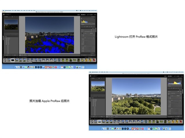 iPhone14 Pro影像评测