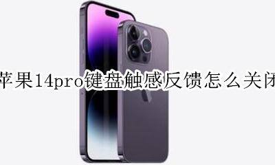 苹果14pro键盘声音怎么关 苹果14pro键盘触感反馈怎么关闭