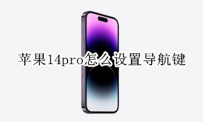 苹果14导航键怎么设置 苹果14pro怎么设置导航键