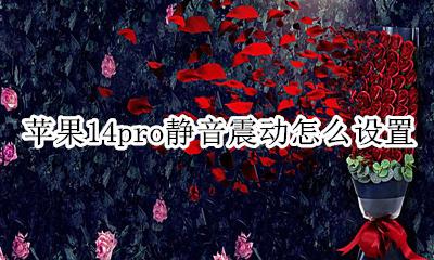苹果14pro静音震动怎么设置 iphone14pro怎么设置震动