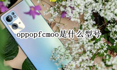 oppopfcmoo是什么型号 oppopbbmoo是什么型号
