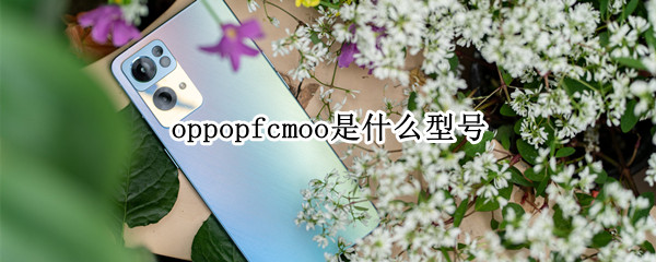 oppopfcmoo是什么型号