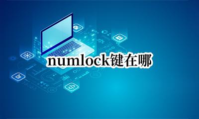 numlock键在哪 电脑numlock键在哪