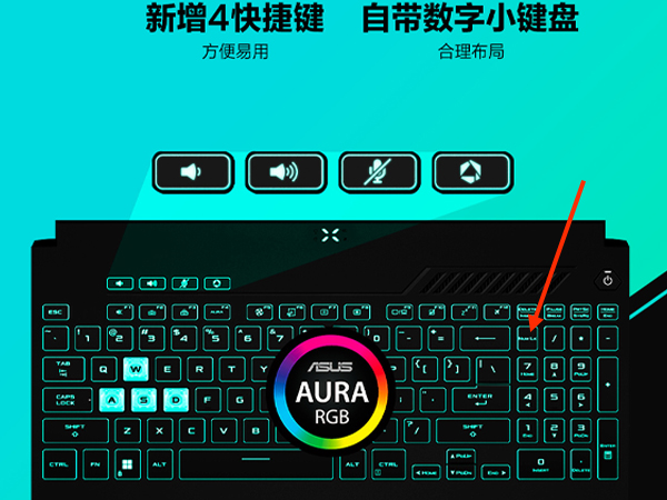numlock键在哪