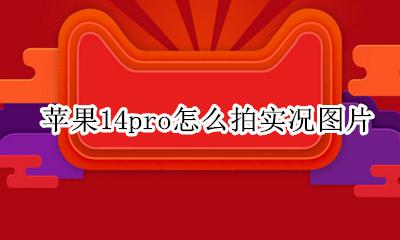 苹果14pro怎么拍实况图片 iphone14pro怎么拍实况