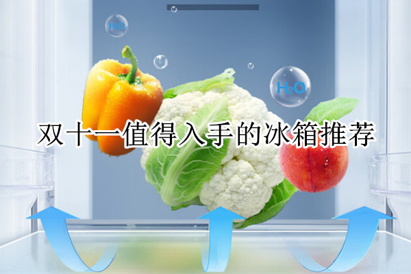 双十一值得入手的冰箱推荐