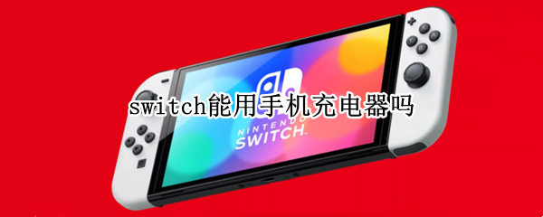 switch能用手机充电器吗