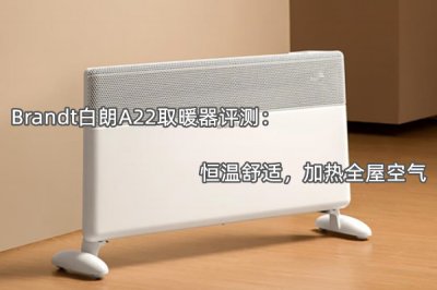 Brandt白朗A22取暖器评测 怎么样