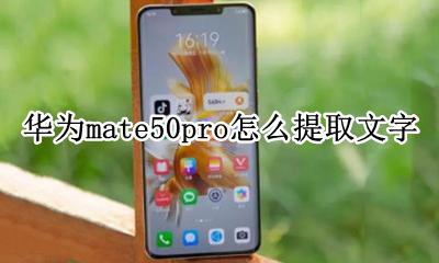 华为p50pro怎么提取文字 华为mate50pro怎么提取文字