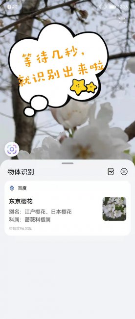华为mate50rs保时捷怎么开启识物功能
