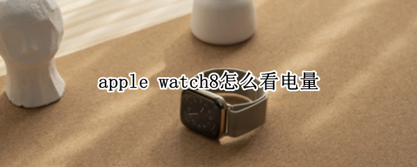 apple watch8怎么看电量