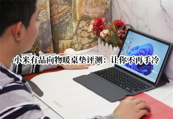 小米有品向物暖桌垫评测