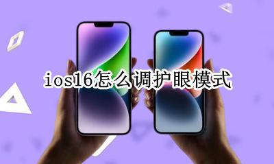 ios16怎么调护眼模式 ios16.16护眼模式