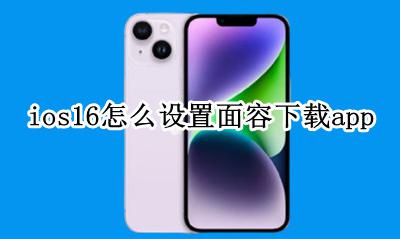 ios16.16怎么设置面容 ios16怎么设置面容下载app
