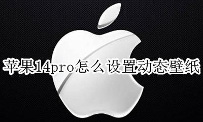 苹果14pro怎么设置动态壁纸 苹果14promax如何设置动态壁纸