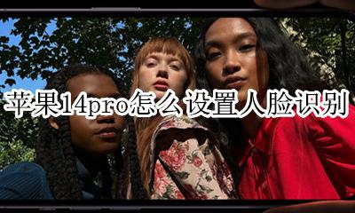 苹果14pro怎么设置人脸识别 苹果14promax人脸识别怎么设置