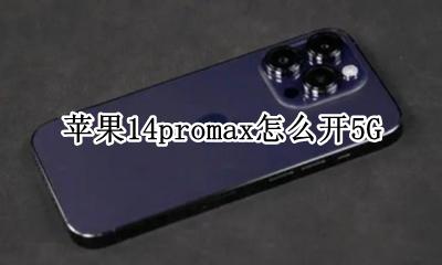 苹果14promax怎么开5G 苹果14promax如何开5G